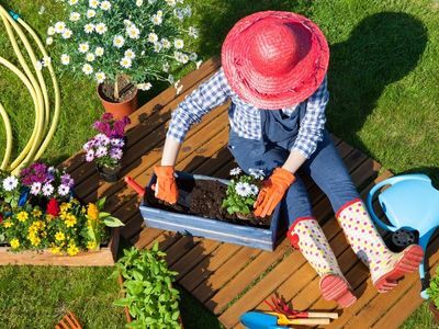Ogrodnictwo to wspaniałe hobby: Sprawdź innowacyjne akcesoria ogrodowe, które ułatwią Ci pracę